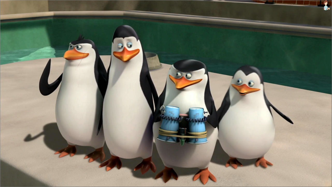 Pinguins z Madagaskar