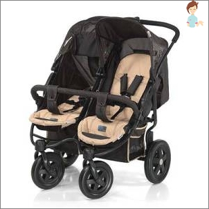 Wheelchair for twins Hauck Roadster Duo SL