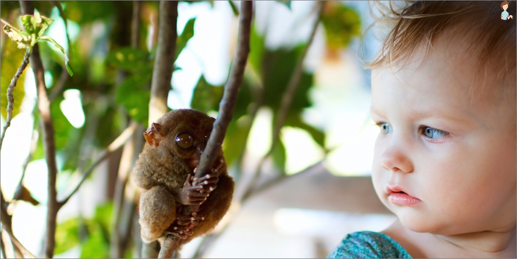 ¿Dónde puedo ir a descansar con un niño de un año?