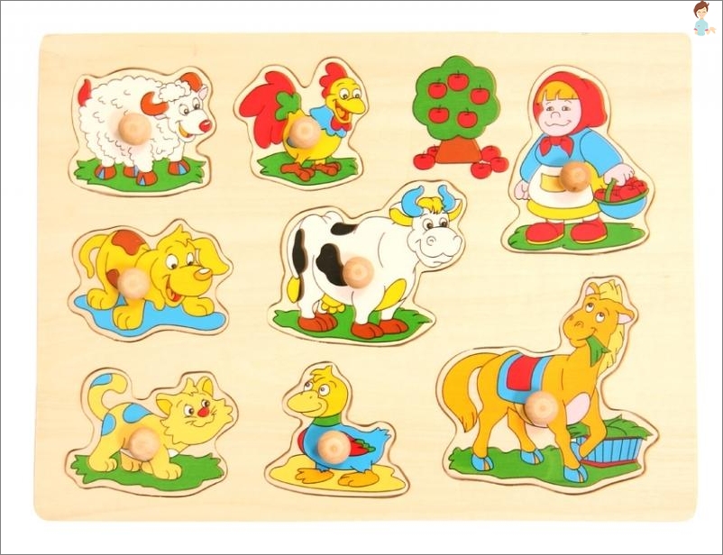 Wooden Toys - Frames Inserts