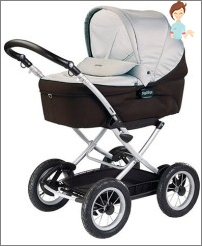 Choose the best stroller for the baby
