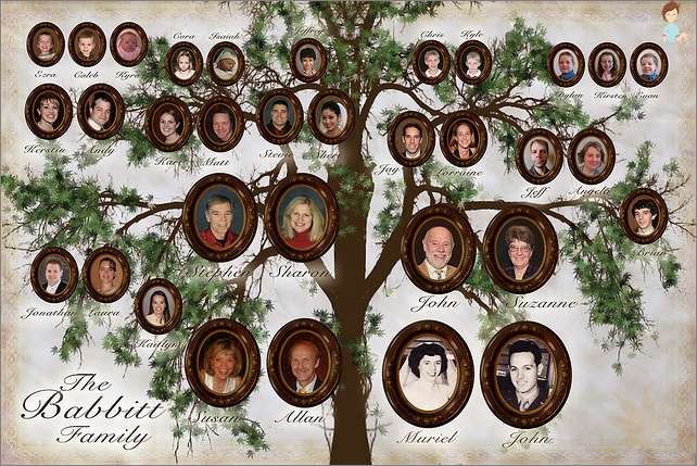 Family album - Family tree