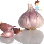 Folk remedies for accelerating metabolism - tincture of garlic with milk