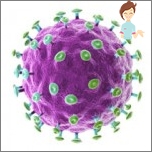 Humanpapilloma-Virus - seine Gefahr für Männer und Frauen