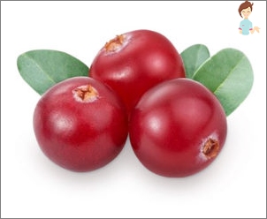 Brusinky (a lingonberry)