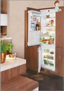 So wählen Sie den richtigen Kühlschrank - Bewertungen und Tipps zum Video