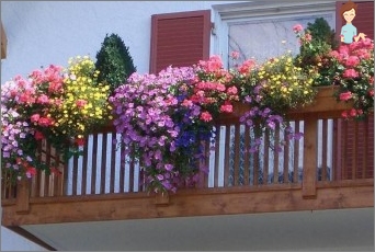 ¿Cuáles son las cajas de balcón para las flores y cómo hacer que lo hagan?