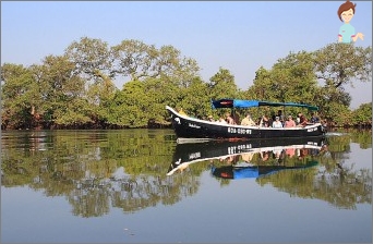 Paradijsrust op Goa