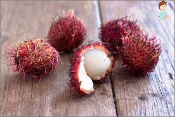 Rambutan: Kde roste, a jak to jí