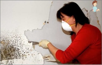 Alegeți un remediu pentru mucegai pe pereți