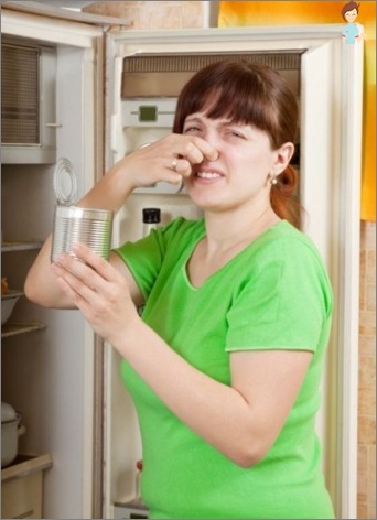 Unangenehmer Geruch im Kühlschrank?