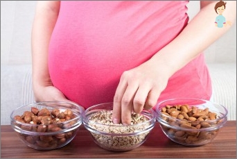 Hazelnut and its beneficial properties, eating nuts during pregnancy