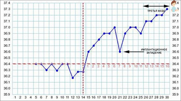 Jak provést graf bazální teploty během těhotenství