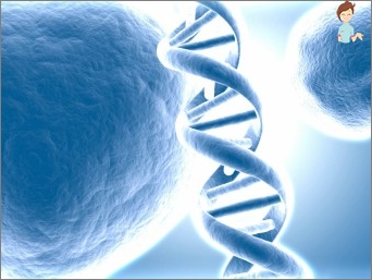 Karyotyping: Co je to za to, co je jmenováno a jak ovlivňuje těhotenství?