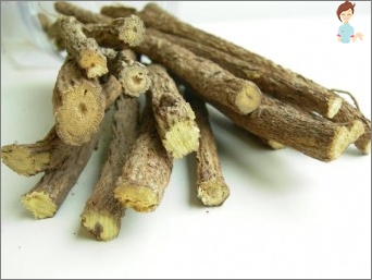 The root of licorice during pregnancy - an excellent alternative to medicines