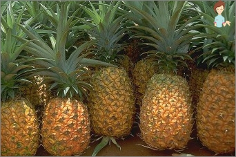 Ananas během těhotenství: přínos, škoda, kontraindikace