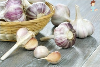 Knoblauch während der Schwangerschaft: & laquo; für & raquo; und & laquo; gegen & raquo;