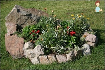 How to make a beautiful flowerbed with your own hands