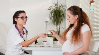 أوراق التوت أثناء الحمل: يمكن استخدام الشاي