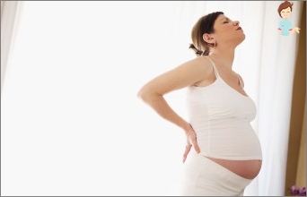 Perptissine - composition, properties, contraindications for pregnant women
