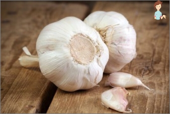 Knoblauch während der Schwangerschaft: & laquo; für & raquo; und & laquo; gegen & raquo;