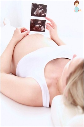 علم وظائف الأعضاء في فترة ما بعد الولادة: انفعال الأجهزة والأنظمة
