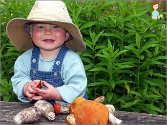 Menu houby v dětské stravě: Je možné krmit dětské houby?