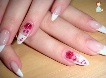 How to draw roses on the nails: the secrets of a beautiful manicure