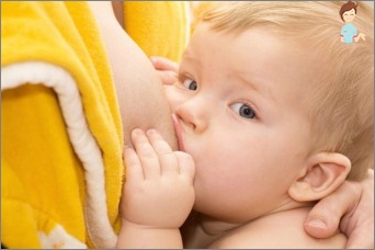 تربية الحليب: بناء الرضاعة الطبيعية
