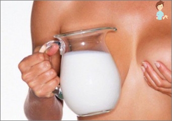 Kako povećati mlijeko masti?