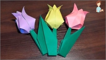Kako napraviti tulip papira: proučavamo najjednostavnije obrt u origami tehnici