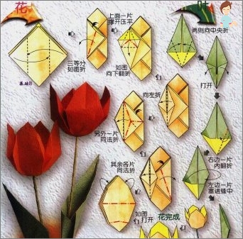 Kako napraviti tulip papira: proučavamo najjednostavnije obrt u origami tehnici