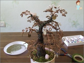 Unterkunft auf die Kunst des Ostens: den Bonsai-Baum selbst zu Hause machen