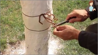 How to make a cattle belt to protect trees?