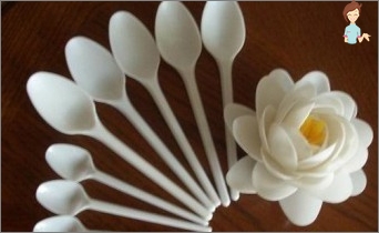 Plastic miracle with your own hands: Mastery Flowers from simple spoons