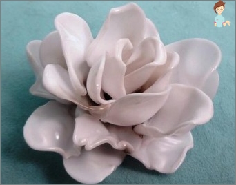 Plastično čudo s vlastitim rukama: majstorstvo cvijeće iz jednostavnih žlica