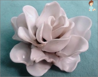 Plastic miracle with your own hands: Mastery Flowers from simple spoons