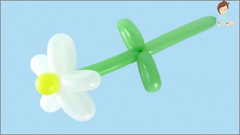 How to make a chamomile or bouquet of tulips from balls for modeling