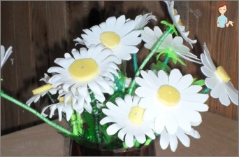 Chamomile from plastic bottles - unfading beauty with his own hands!