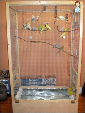 Papagei-Pflege-Funktionen