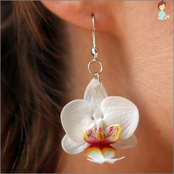 Create and needlewoman: how to make beautiful earrings from clay?