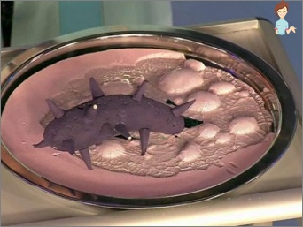 Klostridia v dítěti a dospělém: Příčiny infekce, symptomy, diagnostika, léčba