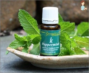 Mint Essential Oil: Properties, Application, Dosage, Results