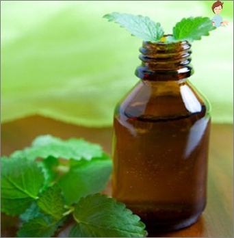 Peppermint Oil: Aplikace pro obličej, vlasy a rty