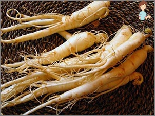 Ginseng - kořen života a zdraví!