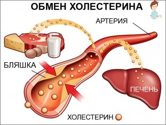 Proč potřebujeme cholesterol?