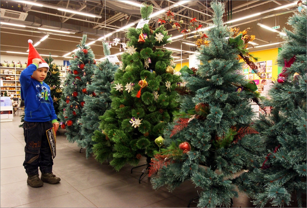 Welcher Baum ist besser für das neue Jahr - künstlich oder echt