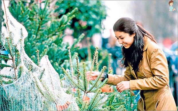 Welcher Baum ist besser für das neue Jahr - künstlich oder echt