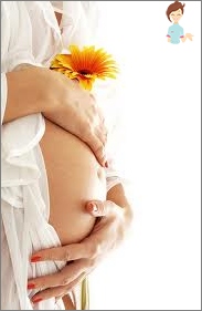 Schwangerschaftskalender für Wochen