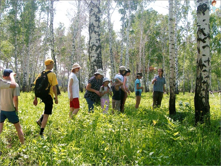 Glavne vrste turista - ekoturista